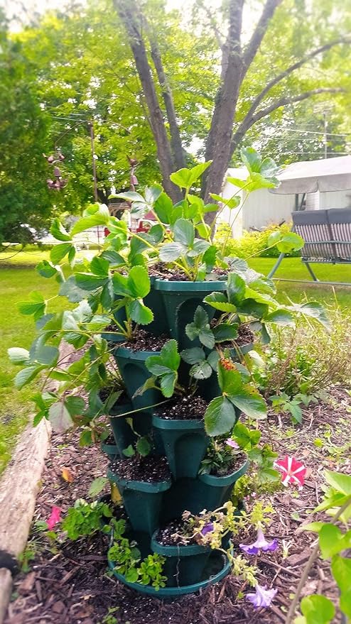 Mr. Stacky 1305-HG 5-Tier Stackable Strawberry, Herb, Flower, & Vegetable Planter - Vertical Gardening Indoor / Outdoor Stacking Garden Pots Hunter Green, 22.5 Quarts